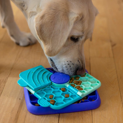 Dog using Nina Ottosson Lick N’ Flip dog puzzle feeder with hidden treats