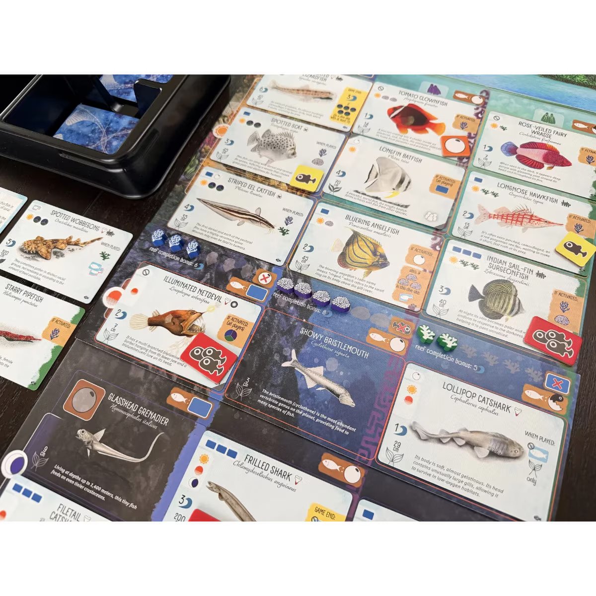 Finspan Sharks & Reefs Expansion gameplay components with fish cards, coral tokens and reef overlay mat