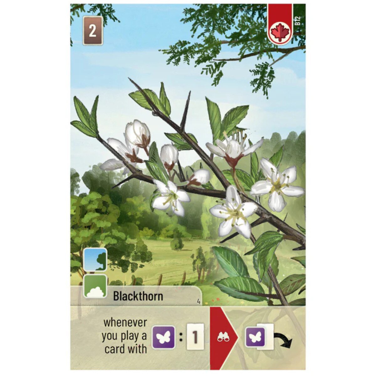Forest Shuffle Woodland Edge Blackthorn card featuring white flowering branches