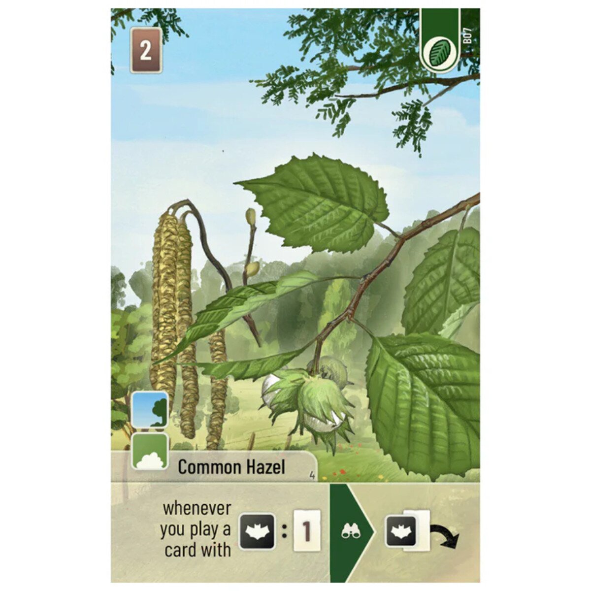 Forest Shuffle Woodland Edge Common Hazel Shrub card featuring green leaves and hazel catkins