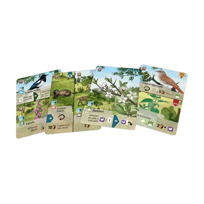 Forest Shuffle Woodland Edge Expansion cards showing new plants, animals and woodland species