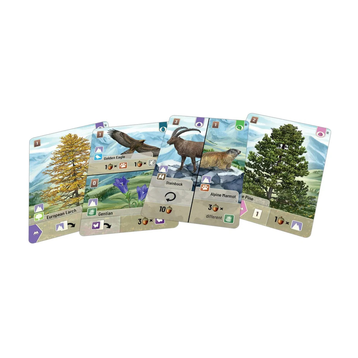 Forest Shuffle Alpine Expansion cards featuring alpine larch, golden eagle, marmot and swiss pine