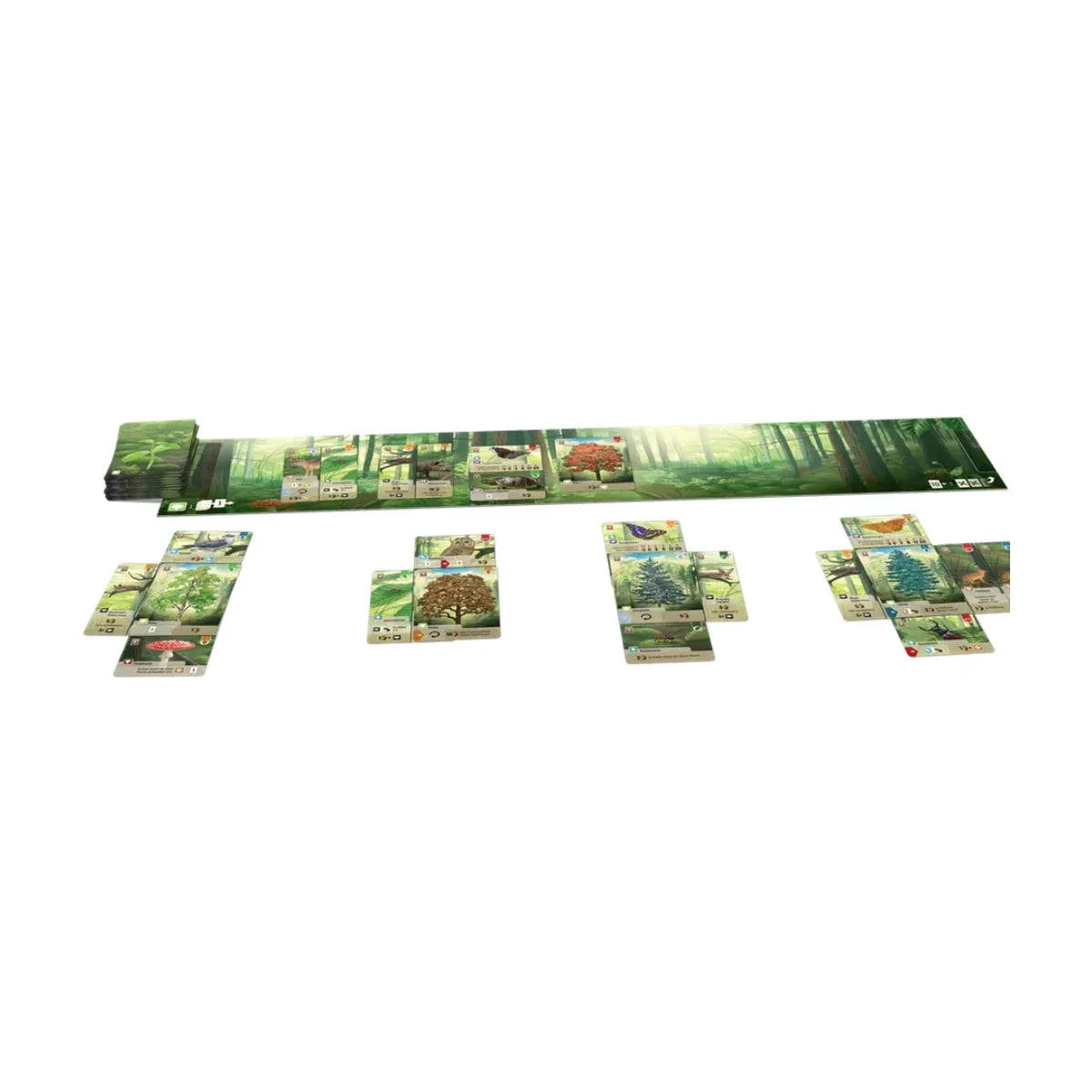 Forest Shuffle card game gameplay setup with forest cards, clearing board, and player woodland habitats