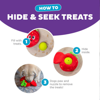Fruity Findz dog puzzle instructions showing how to hide treats inside the plush toy