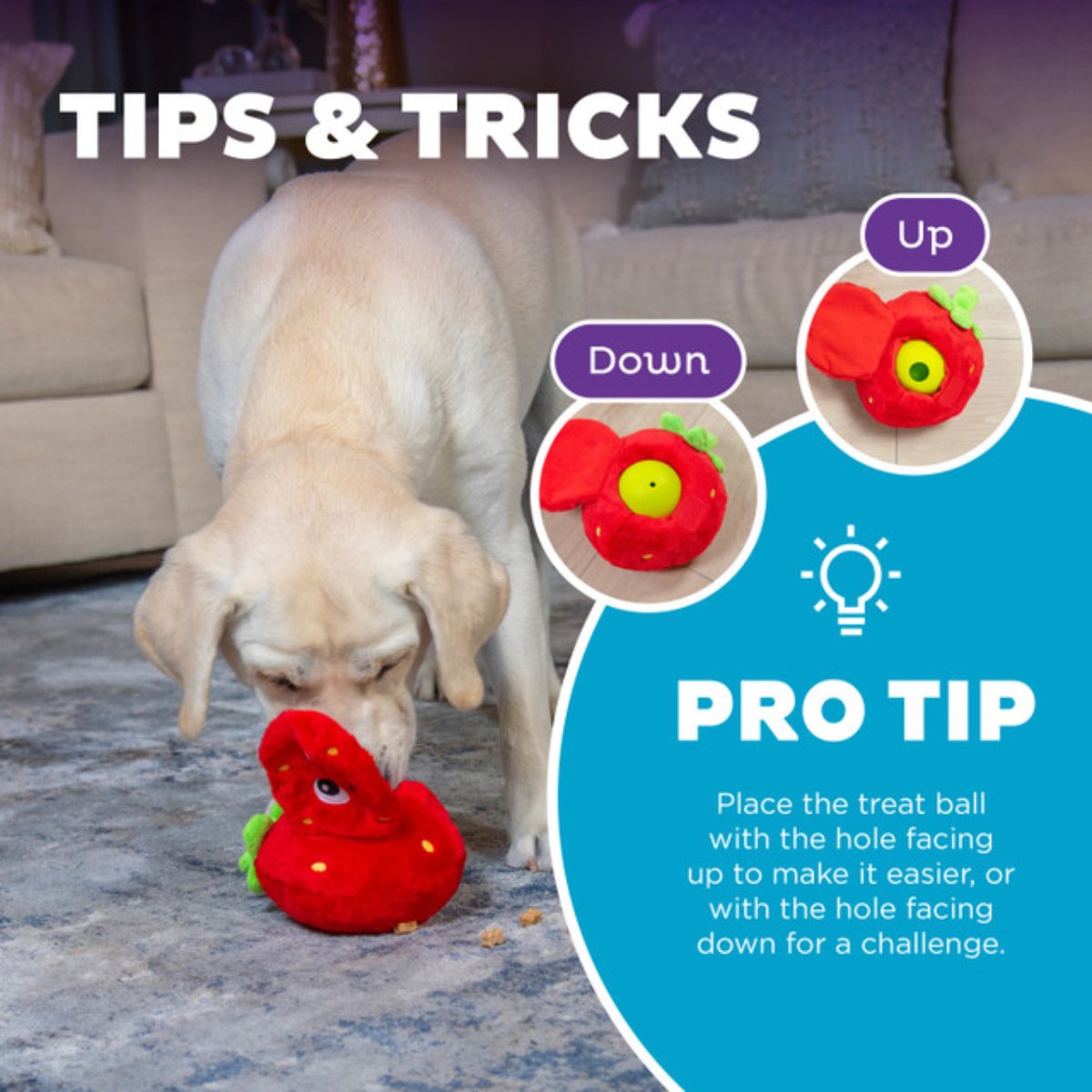 Fruity Findz treat ball pro tip showing easier and harder challenge positions