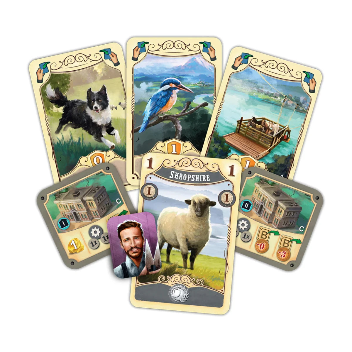Great Western Trail New Zealand sheep and action cards showing game artwork and icons
