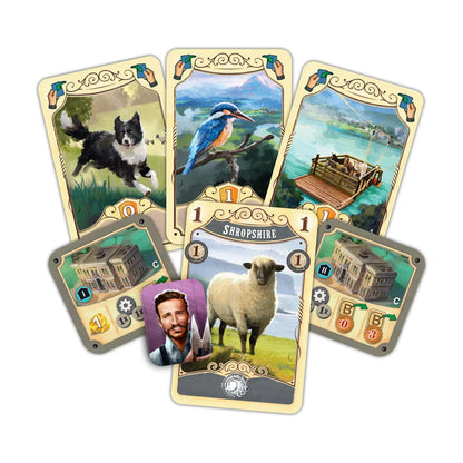 Great Western Trail New Zealand sheep and action cards showing game artwork and icons