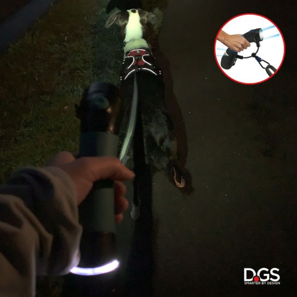 i'm Gismo rechargeable flashlight connectable illuminating the path during a night-time dog walk