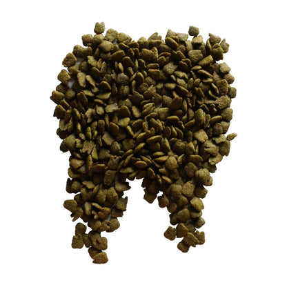Close-up of Kit Cat Breath Bites salmon flavour greenish-brown crunchy dental cat treats arranged in the shape of a tooth on a white background.