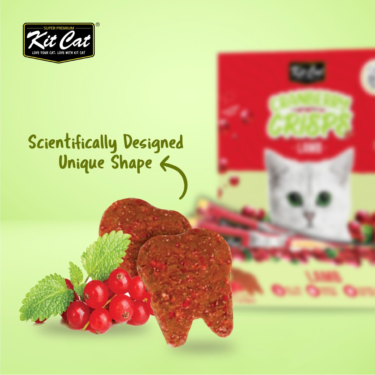 Close-up of Kit Cat Cranberry Crisps Lamb crunchy tooth-shaped cat treats beside cranberries and mint leaves, with product box on a light green background.