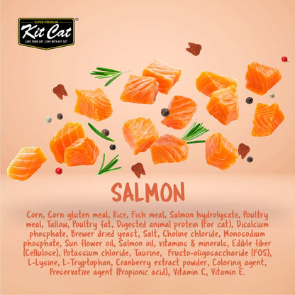 Kit Cat Cranberry Crisps Salmon flavour infographic featuring salmon pieces, tooth-shaped cat treats and the ingredient list on a peach-coloured background.