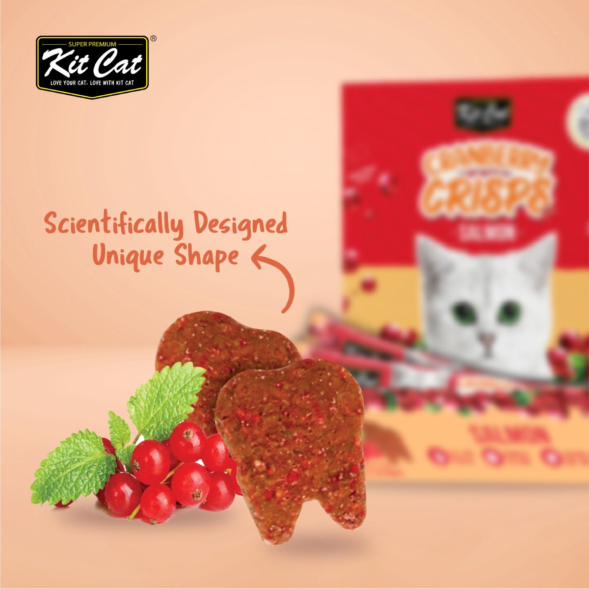 Close-up of Kit Cat Cranberry Crisps Salmon crunchy tooth-shaped cat treats beside cranberries and green leaves, with salmon flavour packaging in the background.
