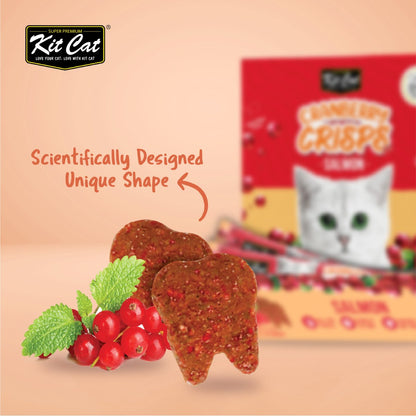 Close-up of Kit Cat Cranberry Crisps Salmon crunchy tooth-shaped cat treats beside cranberries and green leaves, with salmon flavour packaging in the background.