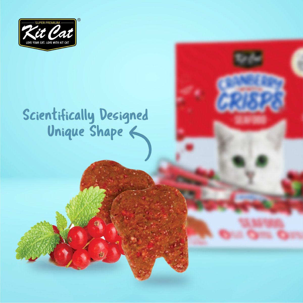Close-up of Kit Cat Cranberry Crisps Seafood crunchy tooth-shaped cat treats beside cranberries and green leaves, with blue-accented product packaging in the background.