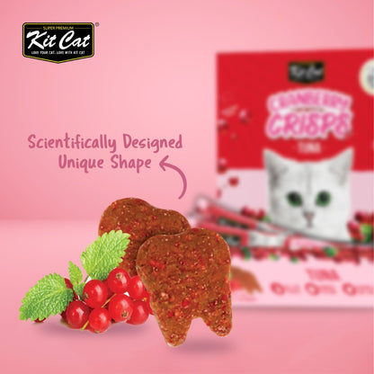 Close-up of Kit Cat Cranberry Crisps Tuna crunchy tooth-shaped cat treats beside cranberries and green leaves, with pink-accented product packaging in the background.