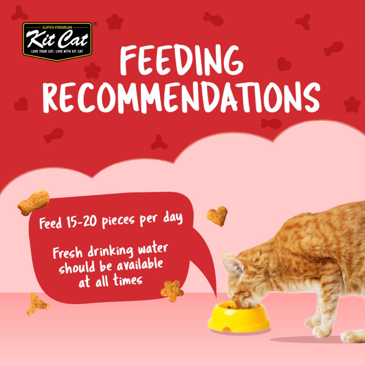 Kit Cat Kitty Crunch Beef feeding guide recommending 15 to 20 pieces per day with fresh drinking water