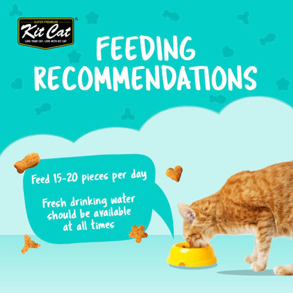 Kit Cat Kitty Crunch Lamb feeding guide recommending 15 to 20 pieces per day