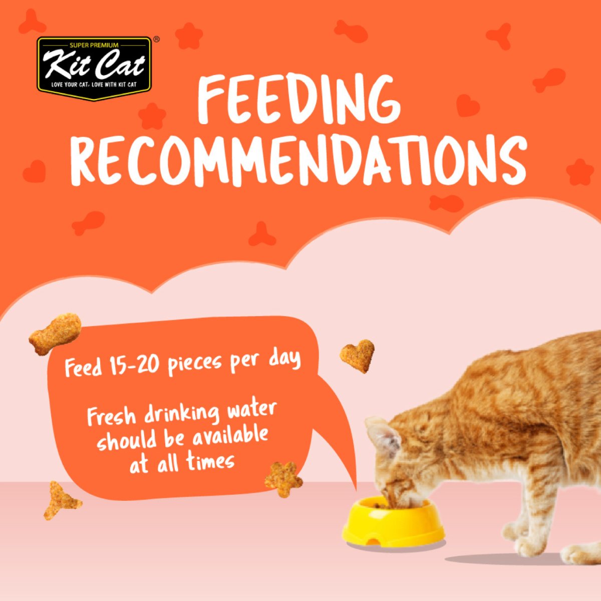 Kit Cat Kitty Crunch Salmon feeding guide recommending 15 to 20 pieces per day