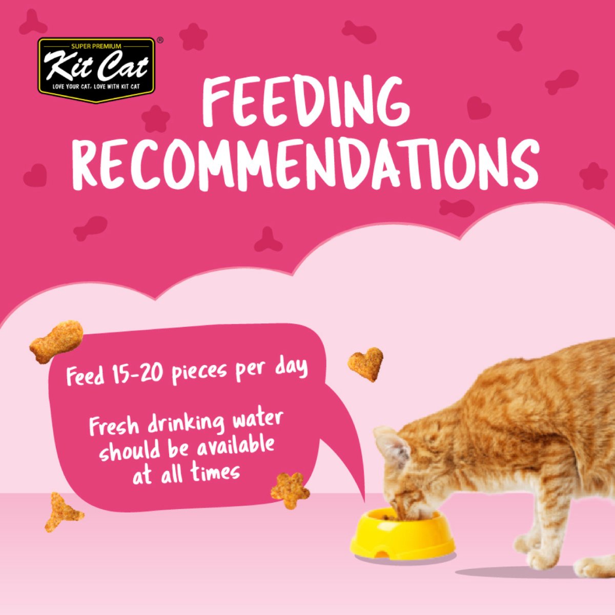 Feeding recommendation for Kit Cat Kitty Crunch Tuna Cat Treats single 60g pouch