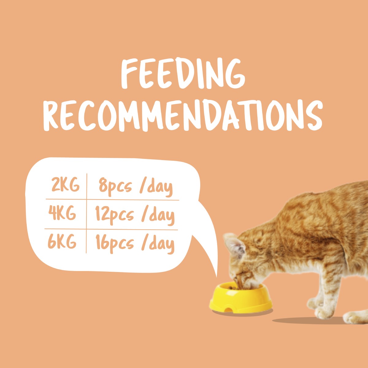 Kit Cat Purrfect Pockets Salmon feeding recommendations for cats by weight