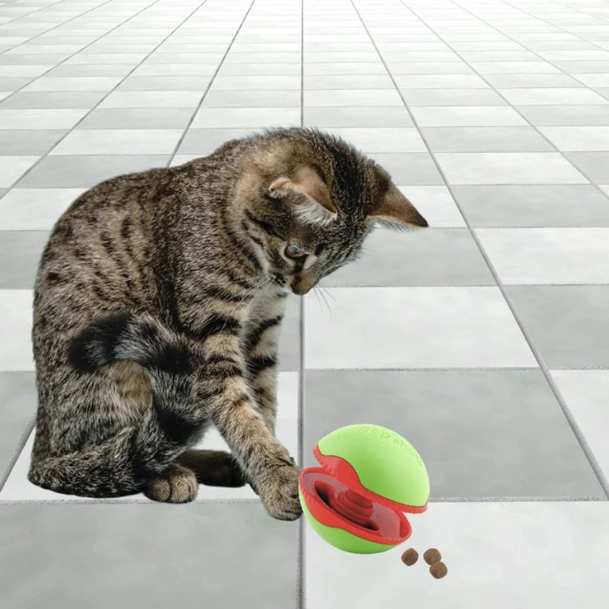 Cat playing with L’Chic Foobler Pop Shot treat dispenser for enrichment and reward play
