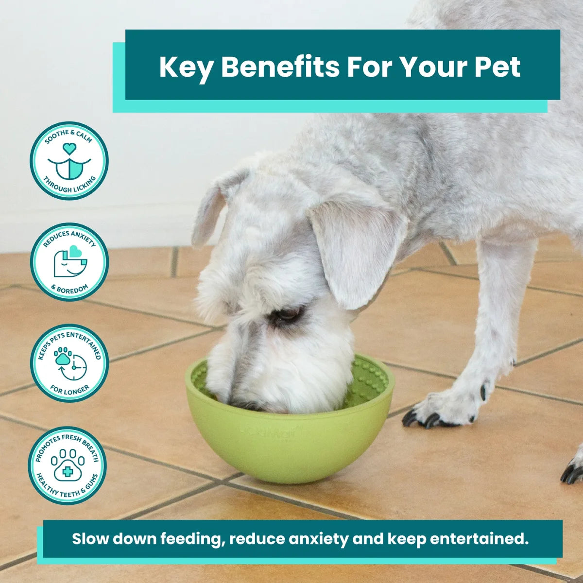 Dog licking treats from a LickiMat Wobble slow feeder bowl for calm enrichment and Key benefits listed of the LickiMat Wobble slow feeder bowl for dogs