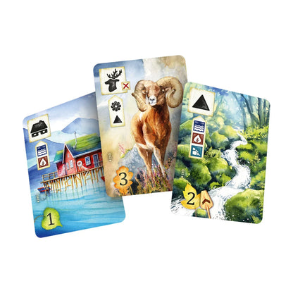 Meadow Downstream expansion cards showing aquatic landscapes, wildlife and new gameplay symbols
