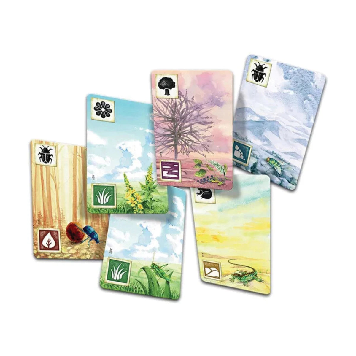 Meadow board game ground cards showing colourful woodland, grassland, wetland and rocky habitats