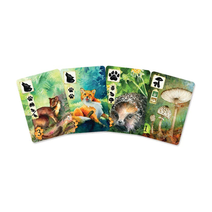 Meadow board game wildlife observation cards featuring a marten, fox, hedgehog and mushrooms in watercolour artwork