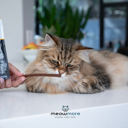 Cat being offered a soft Meow More meaty cat treat stick
