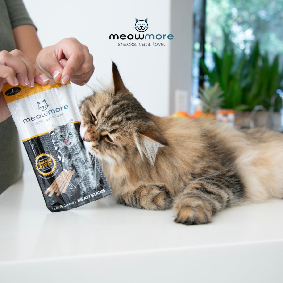 Cat with Meow More Chicken & Liver Cat Treat Sticks 15g pouch