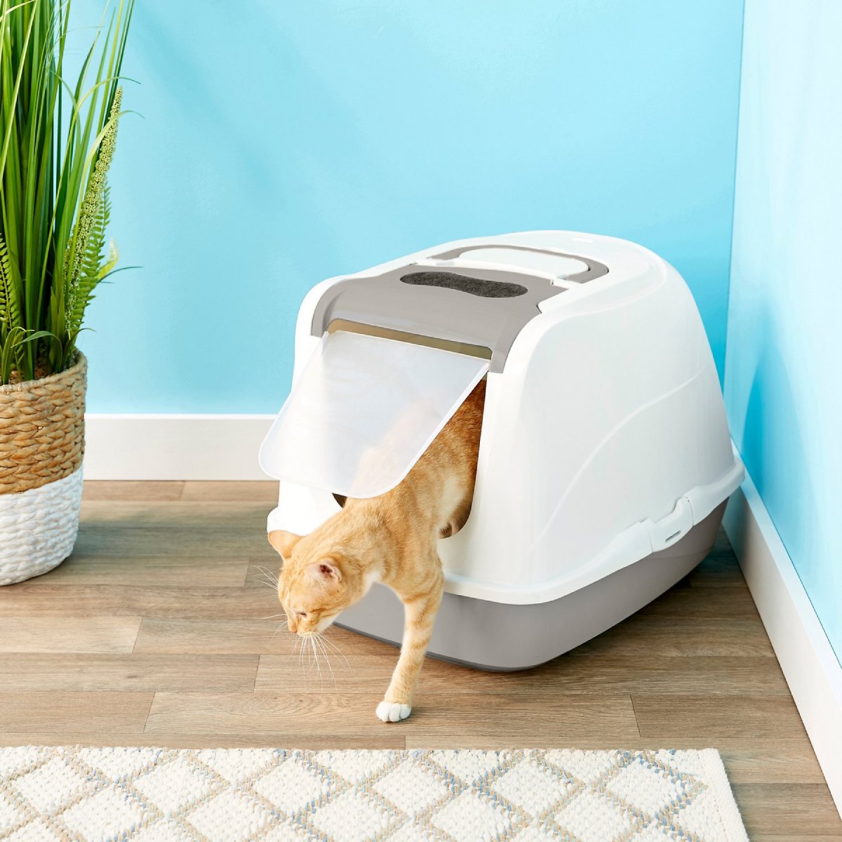 Orange cat exiting the Moderna Flip Cat Large litter box in Warm Grey