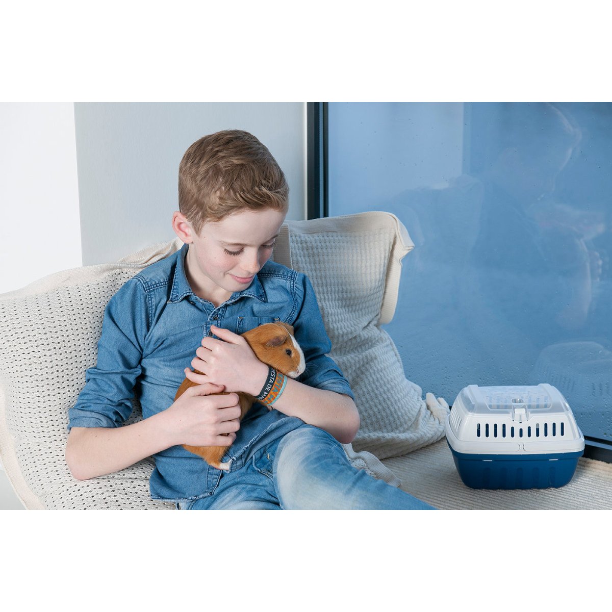 Blue Berry Moderna Hipster Pet Carrier beside a pet during travel preparation