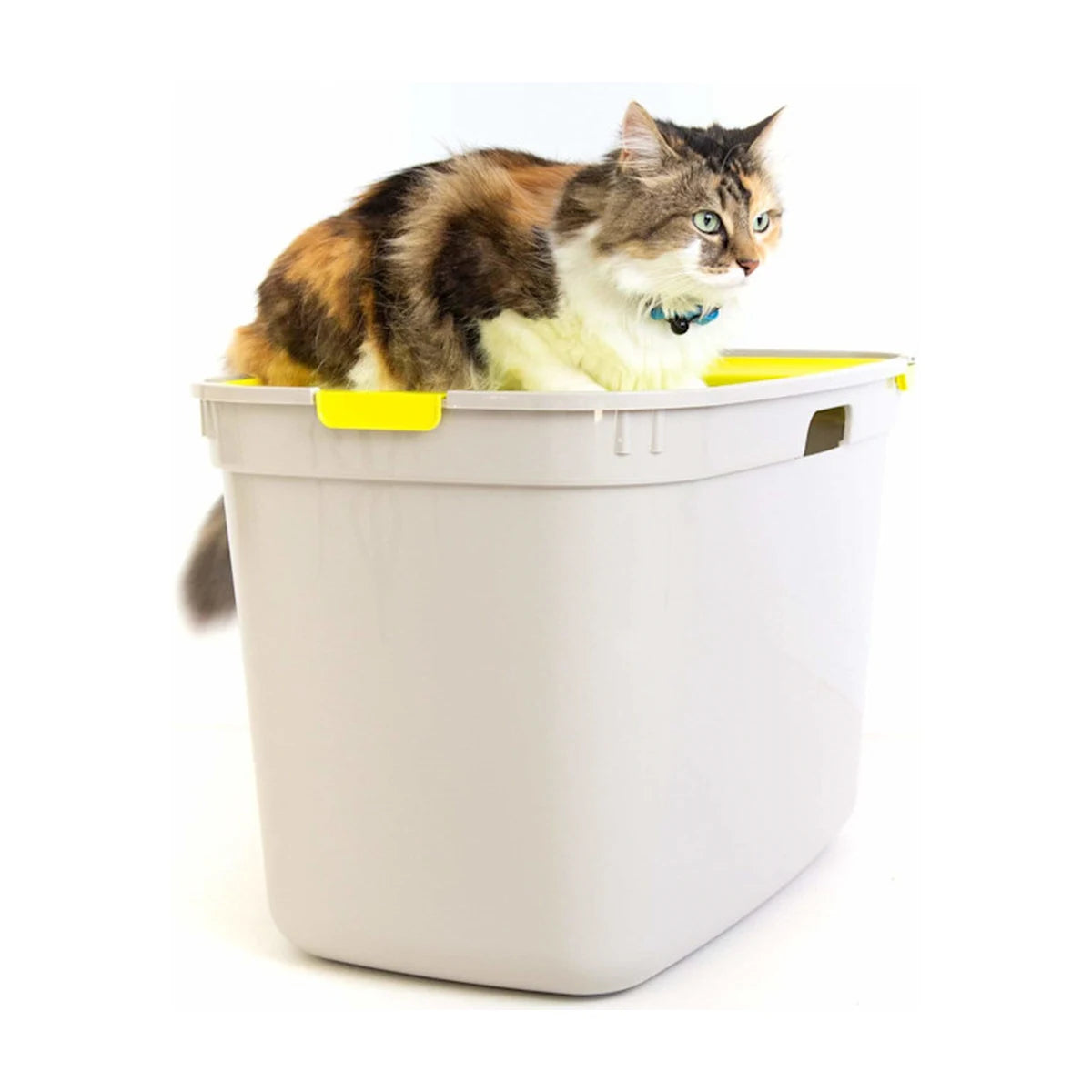 Tortoiseshell cat sitting inside a Moderna Top Cat litter box in Warm Grey and Lemon Yellow, showing the high-sided design.
