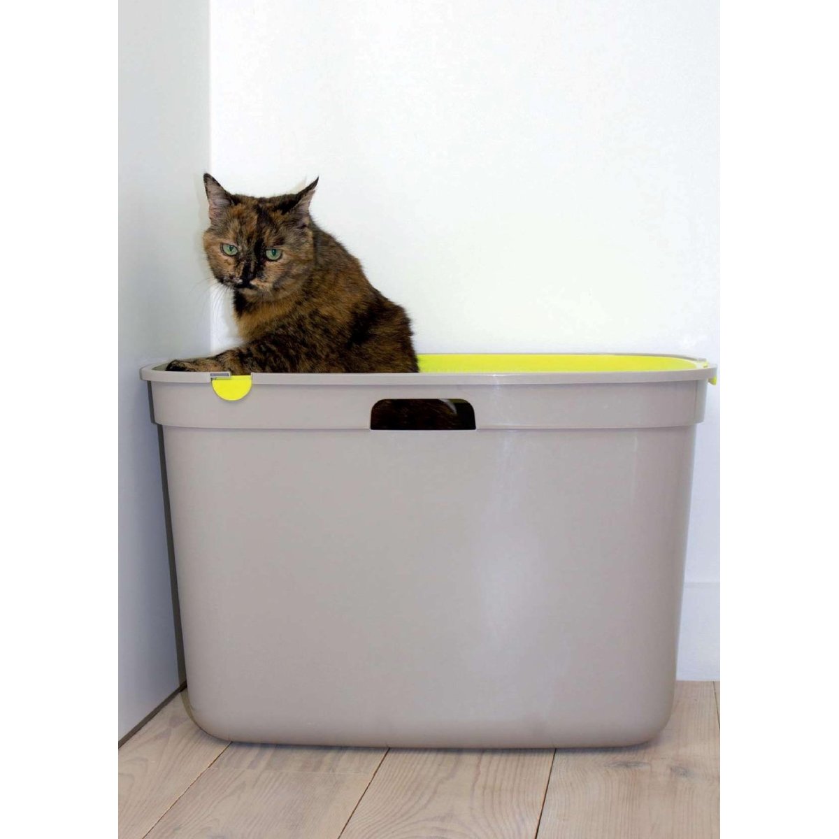 Long-haired cat sitting inside a Moderna Top Cat high-sided litter box, demonstrating the spacious design with the lid removed.