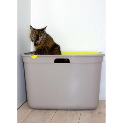 Long-haired cat sitting inside a Moderna Top Cat high-sided litter box, demonstrating the spacious design with the lid removed.
