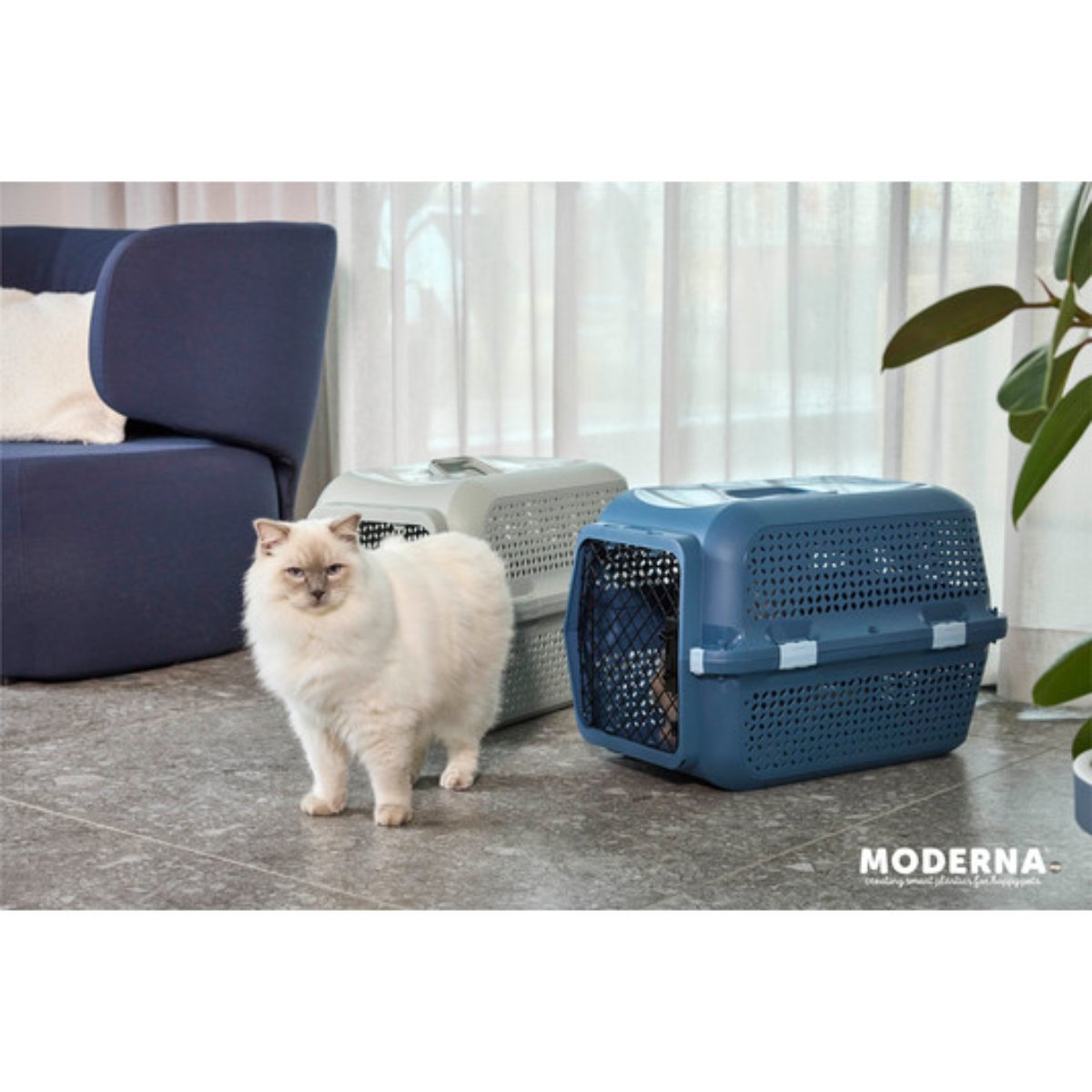 Cat exiting Copen Blue Moderna Ventura medium pet carrier
