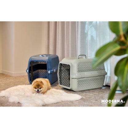 Small dog beside Moderna Ventura pet carriers in Olive Green and Copen Blue