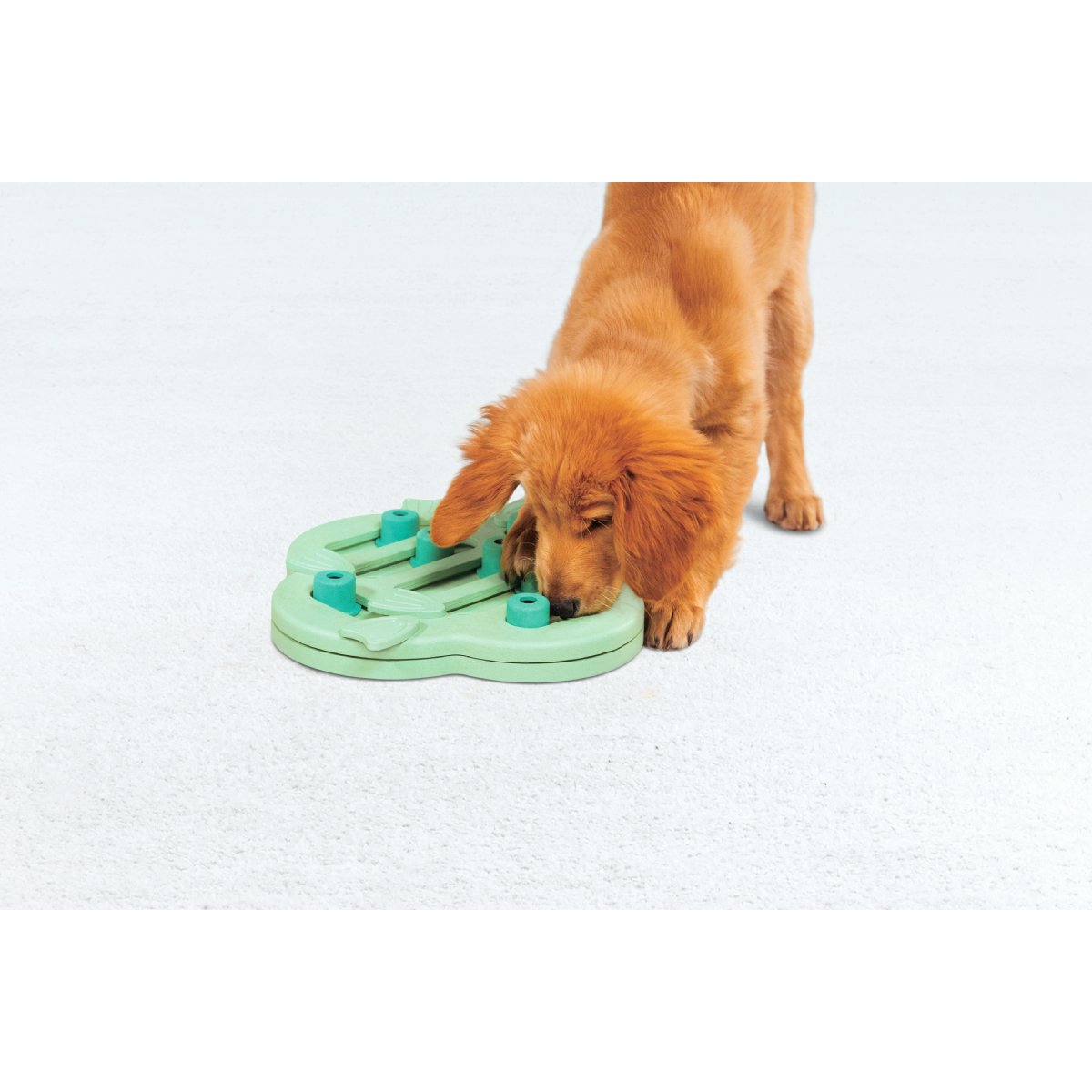 Puppy playing with the Nina Ottosson Puppy Hide N' Slide interactive treat puzzle