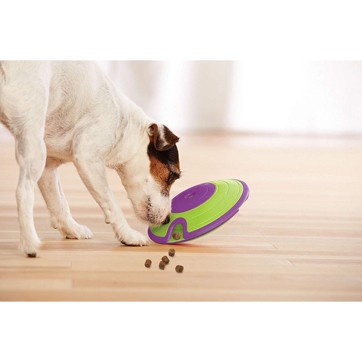 Dog playing with Nina Ottosson Treat Maze interactive treat puzzle