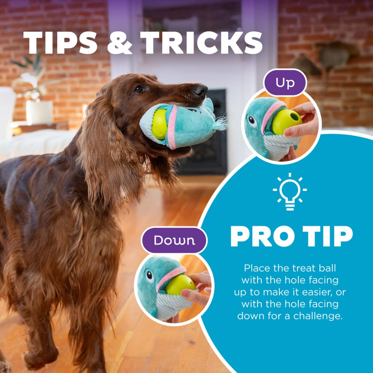 How to use Nina Ottosson Big Mouthz whale plush dog puzzle by filling the treat ball and hiding it inside