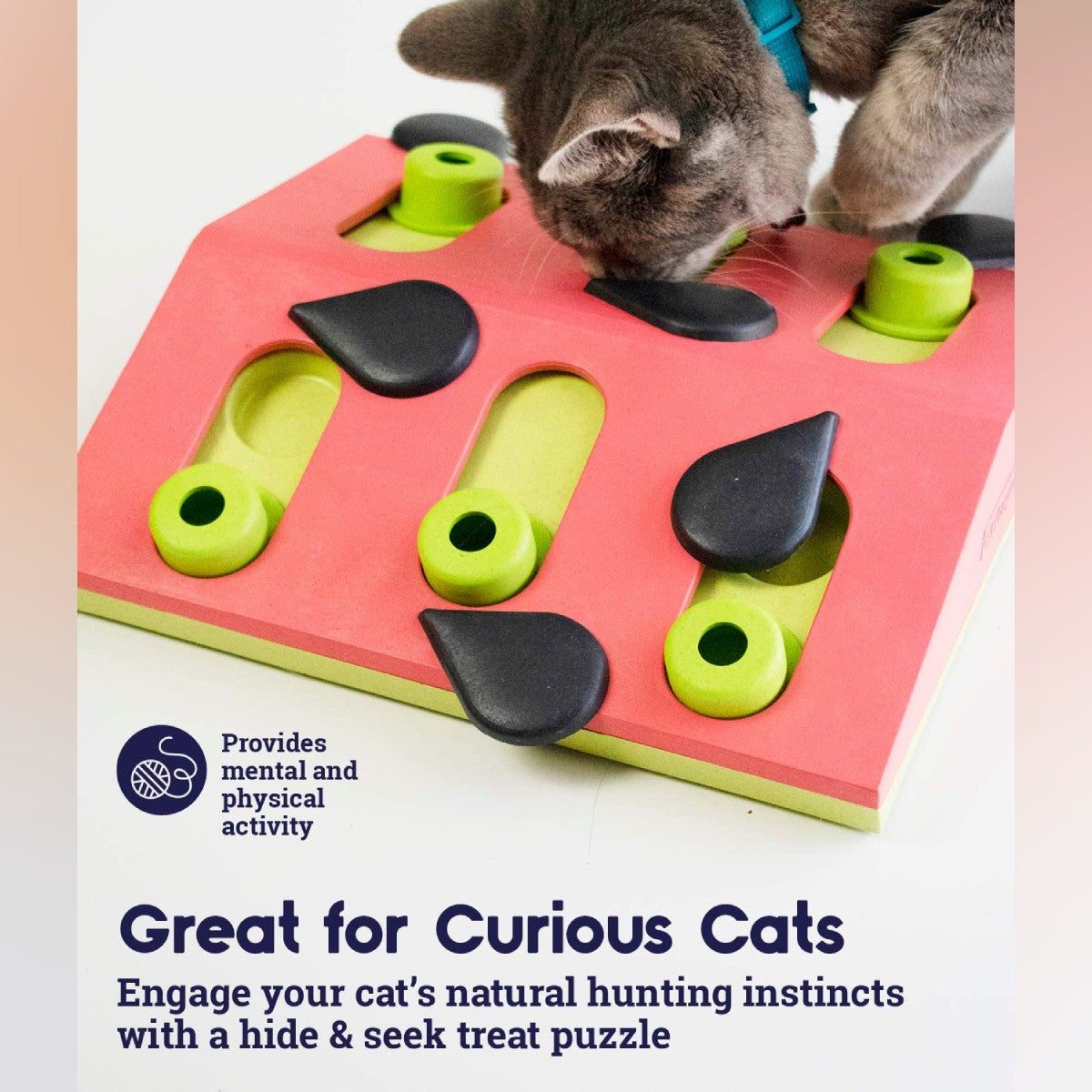 Nina Ottosson Cat Melon Madness Puzzle and Play enrichment toy for curious cats