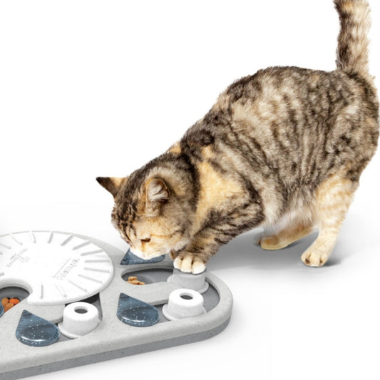 Cat playing with Nina Ottosson Rainy Day Puzzle and Play to find hidden treats