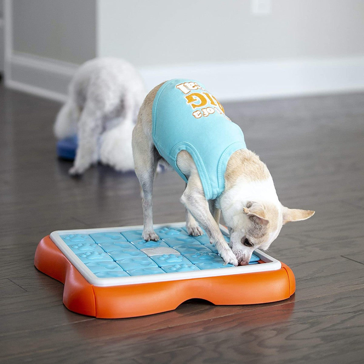 Dog using Nina Ottosson Challenge Slider to find hidden treats