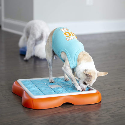 Dog using Nina Ottosson Challenge Slider to find hidden treats