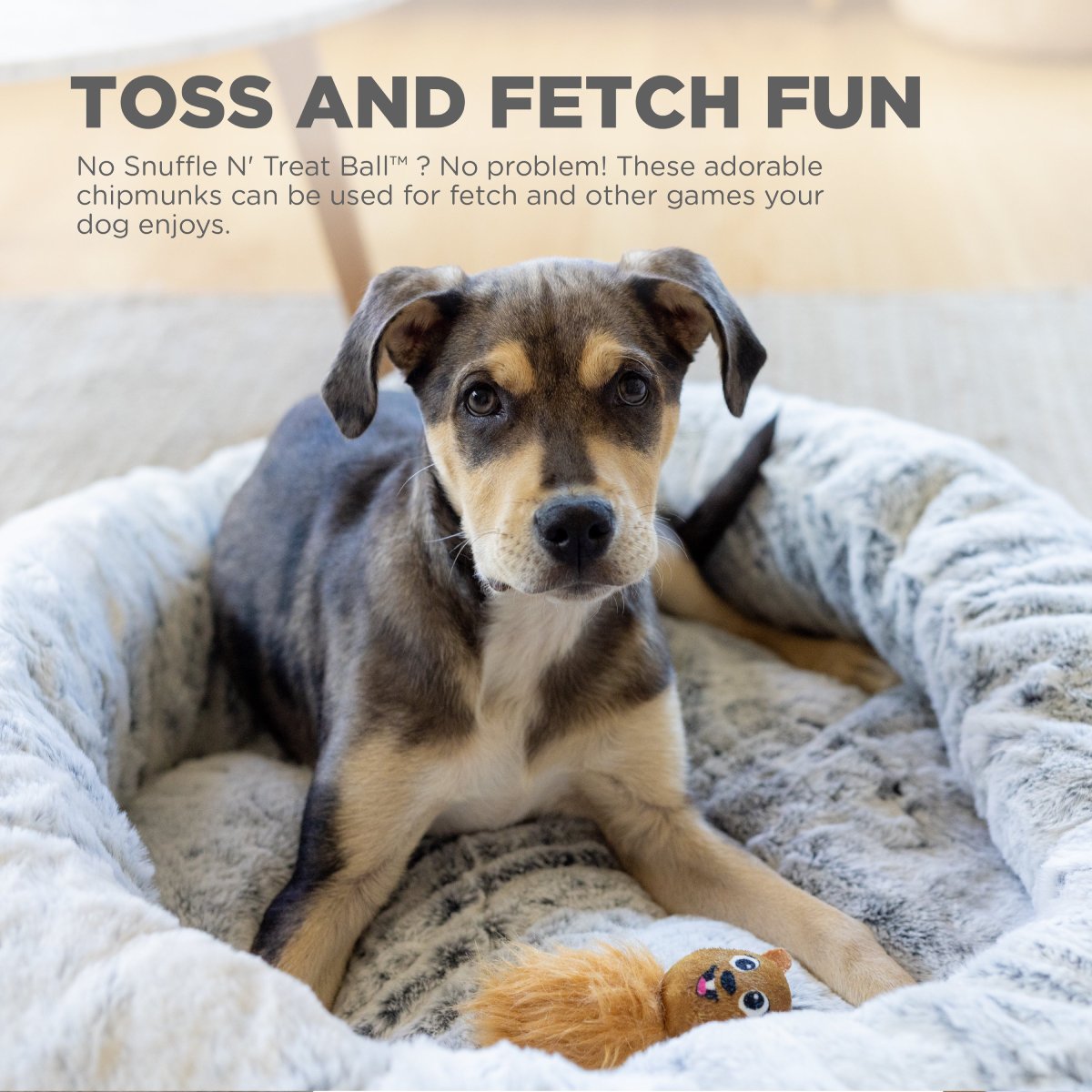 Nina Ottosson plush chipmunk dog toy for gentle toss and fetch play