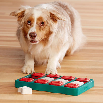 Dog using the Nina Ottosson Dog Brick Blue treat puzzle toy to find hidden kibble during interactive play