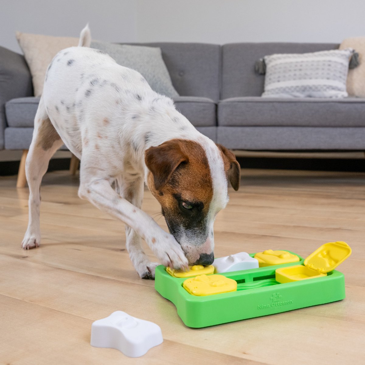 Dog using the Nina Ottosson Dog Brick Green interactive puzzle toy for mental stimulation