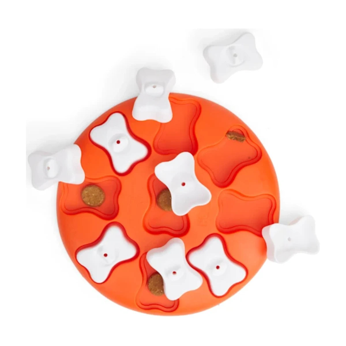 Top view of Dog Smart puzzle showing treat compartments under removable bones
