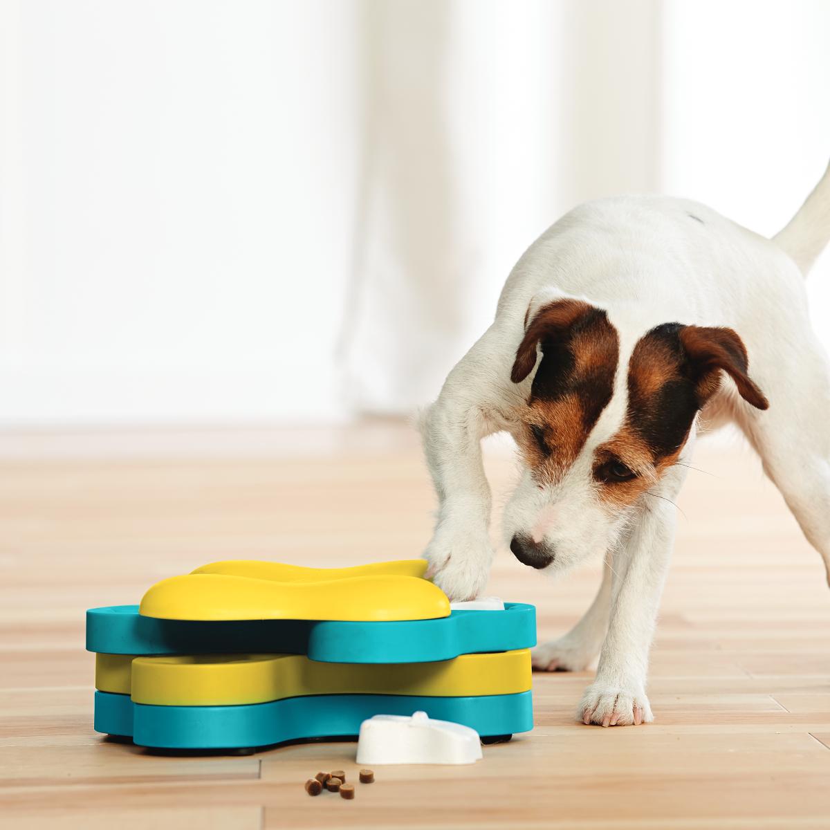 Dog using Nina Ottosson Dog Tornado puzzle to find hidden treats